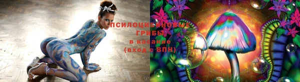 ГАЛЛЮЦИНОГЕННЫЕ ГРИБЫ Заволжск