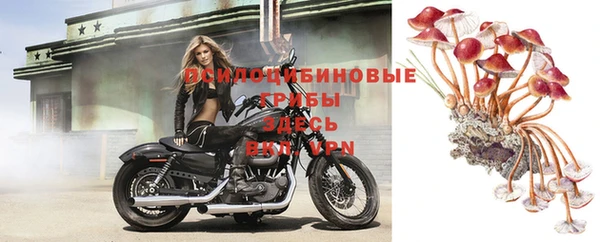 ГАЛЛЮЦИНОГЕННЫЕ ГРИБЫ Заволжск