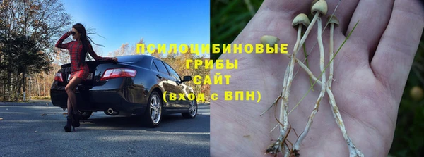 ГАЛЛЮЦИНОГЕННЫЕ ГРИБЫ Заволжск