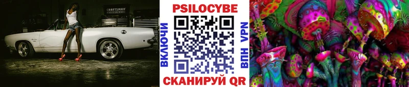 Купить закладки  Кола  Псилоцибиновые грибы мицелий 